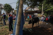 Eid Al-Adha observed in Depok, Indonesia