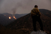 Line Fire in San Bernardino County