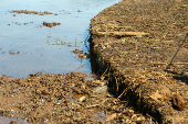 ESVAZIAMENTO DO LAGO IGAPO EM LONDRINA