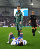 Premier League - Brighton & Hove Albion v Tottenham Hotspur