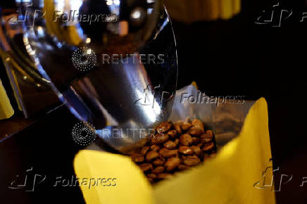 Arabica roasted coffee beans in a roasting coffee shop in Paris