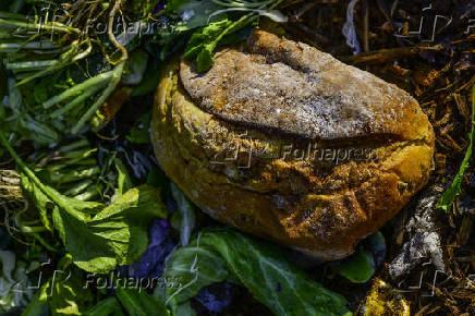 Desperdcio de alimento em compostagem urbana