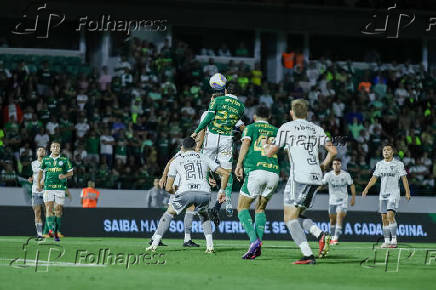 BRASILEIRO A 2024, PALMEIRAS X ATLETICO-MG