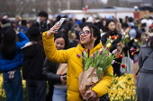 National Tulip Day marks Amsterdam's 750th anniversary