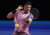 ATP 500 - Vienna Open