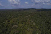 Vista area da Floresta Estadual (Flota) do Paru (PA)