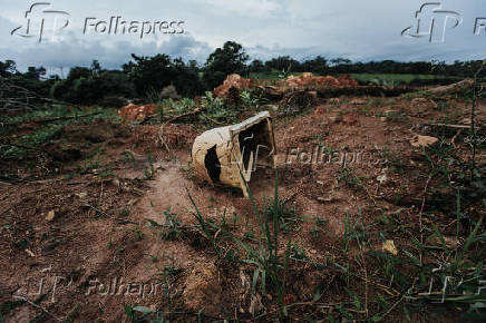 Vegetao comea a surgir na lama endurecida de rejeitos de minrio em Brumadinho