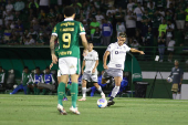 Partida entre Palmeiras e Atltico MG pelo Campeonato Brasileiro