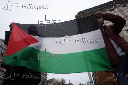 Rally in support of the Palestinian people in Belgrade