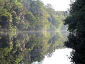 Vista do rio Kuribrong, em Kuribrong