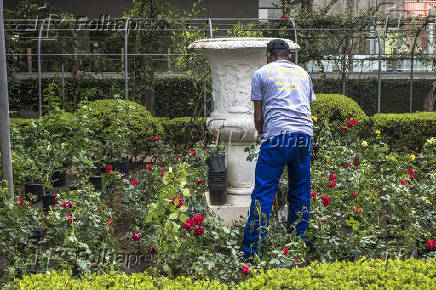 Incio do plantio de rosas durante a restaurao do Jardim da Casa das Rosas