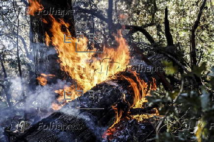 Park Fire in Butte County, Califonria burns over 170,000 acres