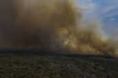Vegetao  consumida pelo fogo em Pacone (MT)
