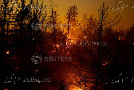 Line Fire in San Bernardino County