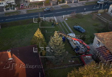 Public Christmas tree erected in Gyor