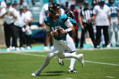 NFL: Jacksonville Jaguars at Miami Dolphins