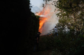 Incndio florestal atinge a regio da Serra da Mantiqueira