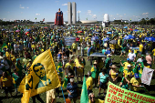 Manifestantes protestam a favor do governo Bolsonaro (DF)