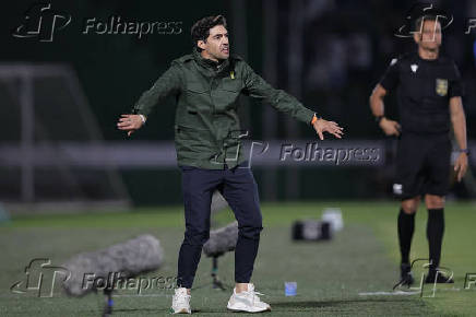 BRASILEIRO A 2024, PALMEIRAS X ATLETICO-MG