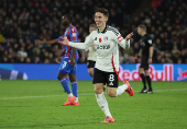 Premier League - Crystal Palace v Fulham