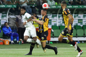 Palmeiras e Novorizontino pela semifinal do Campeonato Paulista