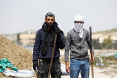 Palestinians make freekeh, near Jenin