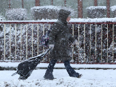 People are sledging in Aviemore, Scotland,