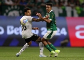 Brasileiro Championship - Palmeiras v Botafogo