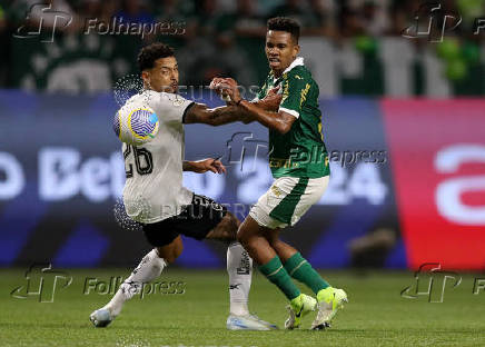 Brasileiro Championship - Palmeiras v Botafogo