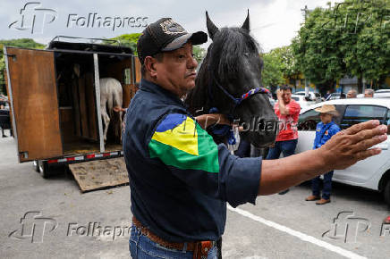 Cavalo Ventania do secretrio-adjunto de segurana, Adilson Custdio Moreira em seu velrio 