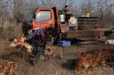 Market ahead of the Lunar New Year in Beijing