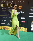 International Indian Film Academy Awards in Abu Dhabi - Green Carpet