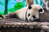 Lanzhou Wild Animal Park