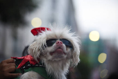 Christmas parade in La Paz