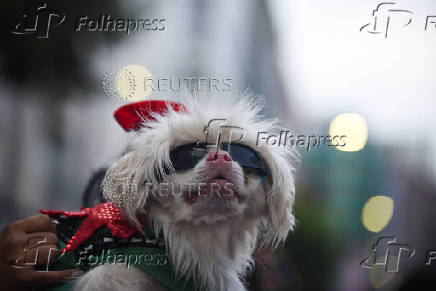 Christmas parade in La Paz