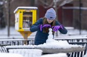 Intensas nevadas en Nueva York