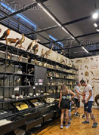 Museu de Zoologia da Universidade de So Paulo