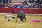 Toros en Zaragoza