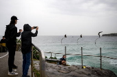 Sculpture by the Sea media launch event