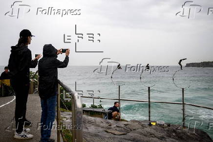 Sculpture by the Sea media launch event