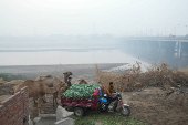 People with their camels and a tricycle auto-bike are seen with the River Ravi in the background, amid smog in Lahore