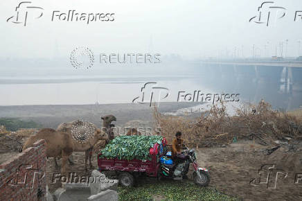 People with their camels and a tricycle auto-bike are seen with the River Ravi in the background, amid smog in Lahore