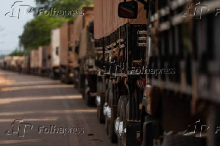 As longas filas de caminhes que se formam na rodovia BR-319