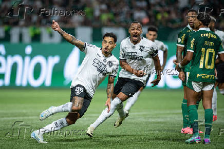 Partida entre palmeiras e botafogo pelo campeonato brasileiro de futebol 2024