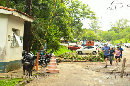 Temporal derrubou galhos de rvore no Parque do Carmo na ZL de SP