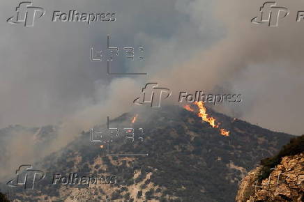 Firefighters battle 'Line Fire' wildfire in California