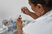 Vacina contra o sarampo sendo preparada para ser aplicada na UBS Repblica, em SP