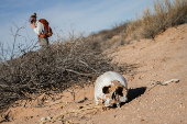 Search for deceased migrants in New Mexico