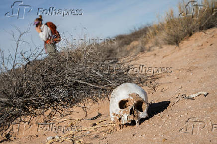 Search for deceased migrants in New Mexico