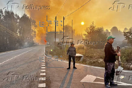 Declarado incendio en el centro de Portugal